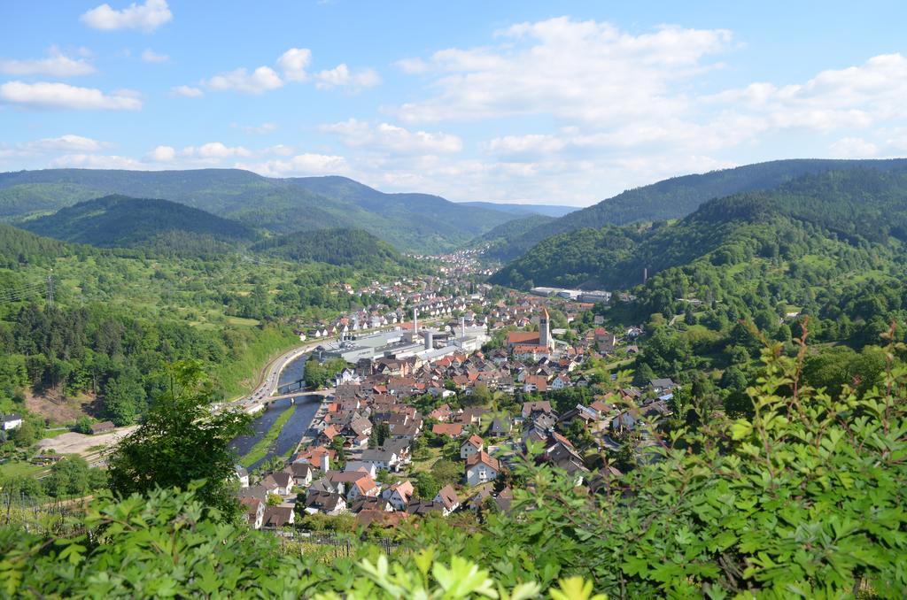 Апартаменты Wildbad Luft Бад-Вильдбад Экстерьер фото